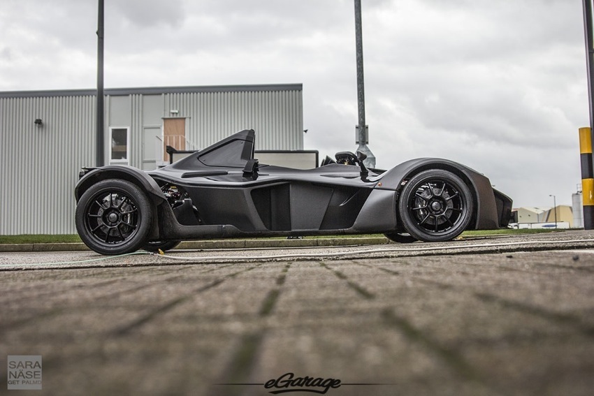 BAC-Mono-Briggs