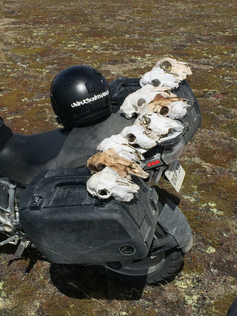 skulls and bike